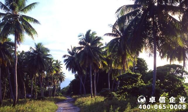 注冊馬紹爾公司需要滿足哪些條件