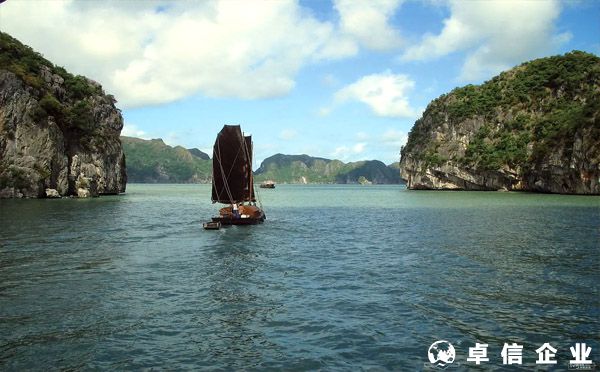 越南注冊公司,有哪幾種類型可選擇？（類型及要求）
