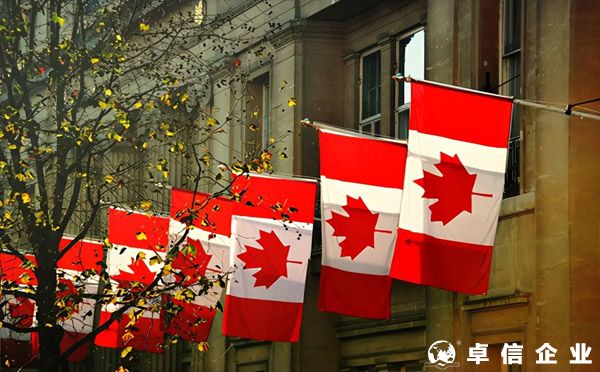 如何申請加拿大商標？（注冊、流程）