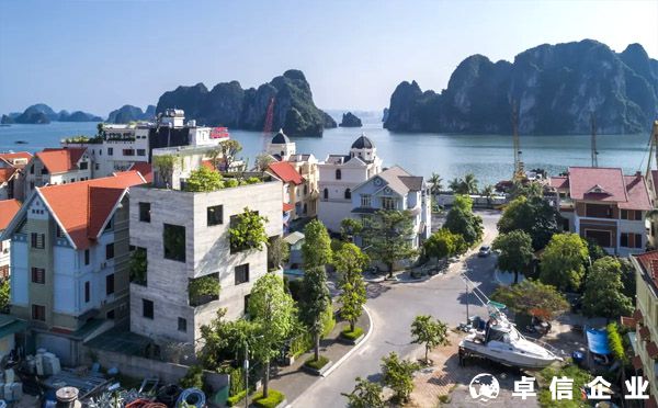 國內注冊越南公司的流程？