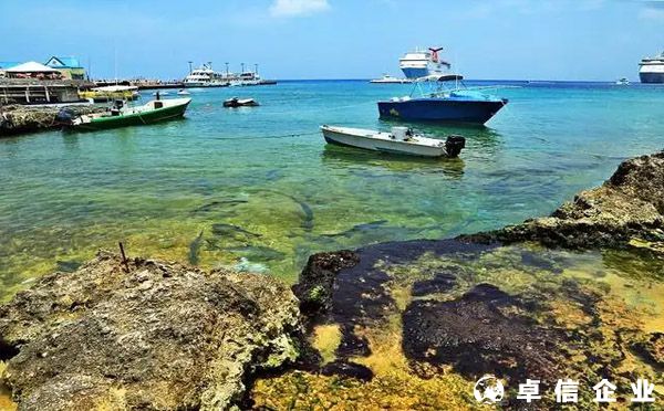 開曼公司公證認(rèn)證的核心知識總結(jié)