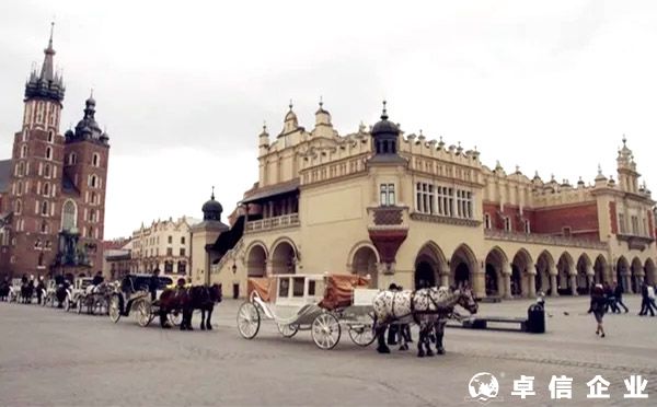 波蘭公司注冊類型