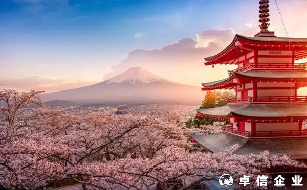 2022日本公司注冊該選擇什么類型的公司？