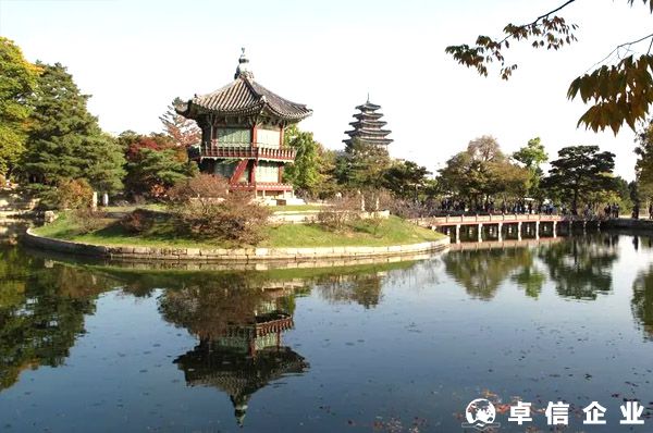 通常韓國公司被稅務調查的原因是什么？