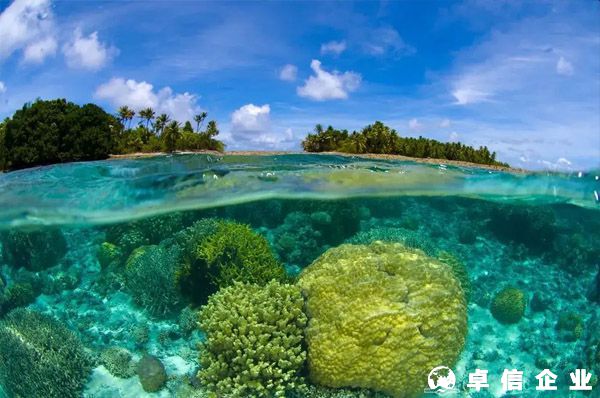 馬紹爾護(hù)照適合哪些人申請(qǐng)？