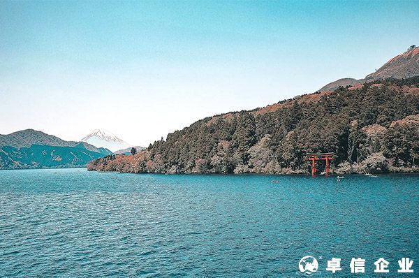 跨境電商平臺推薦-亞洲B2C平臺STARDAY