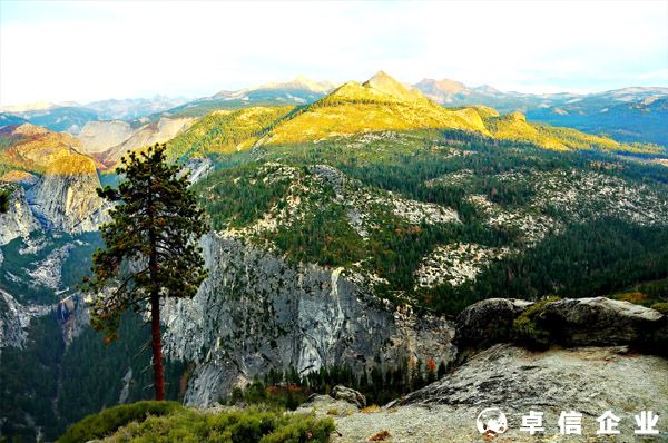 在美國加州注冊公司的稅收是多少？后期維護需要繳納哪些稅？