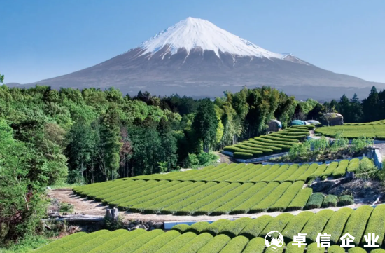 大陸人注冊日本公司需要多少資金？