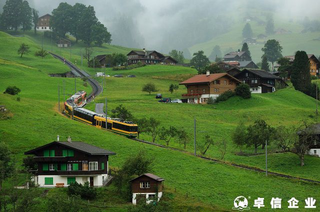 設立瑞士公司有什么優勢 瑞士公司設立有什么要求