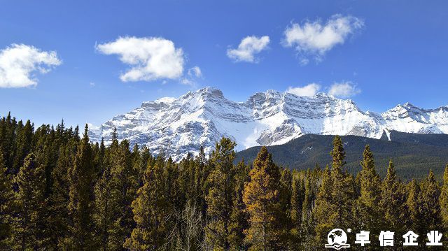 注冊加拿大公司需要多少錢 加拿大公司注冊久嗎