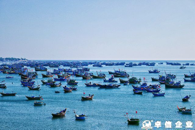 2024年1月起，越南對跨國企業征收實際稅率最高上調至15%!