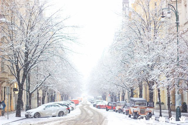 解答捷克公司注冊(cè)辦理流程是怎么樣的