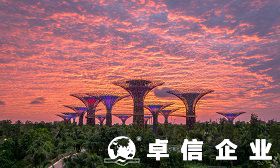 注冊新加坡公司怎么樣 新加坡需要繳納哪些稅