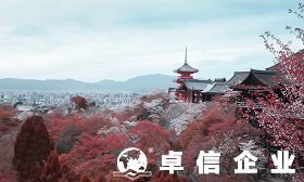 解讀日本公司注冊常見類型