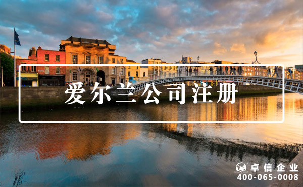 愛爾蘭公司